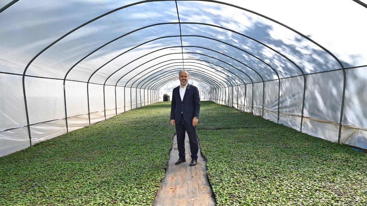 Bursa’nın çiçekleri, dağ bölgesinde açıyor