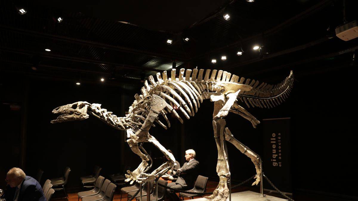 150 milyon yıllık dinozor iskeleti 930 bin avroya satıldı