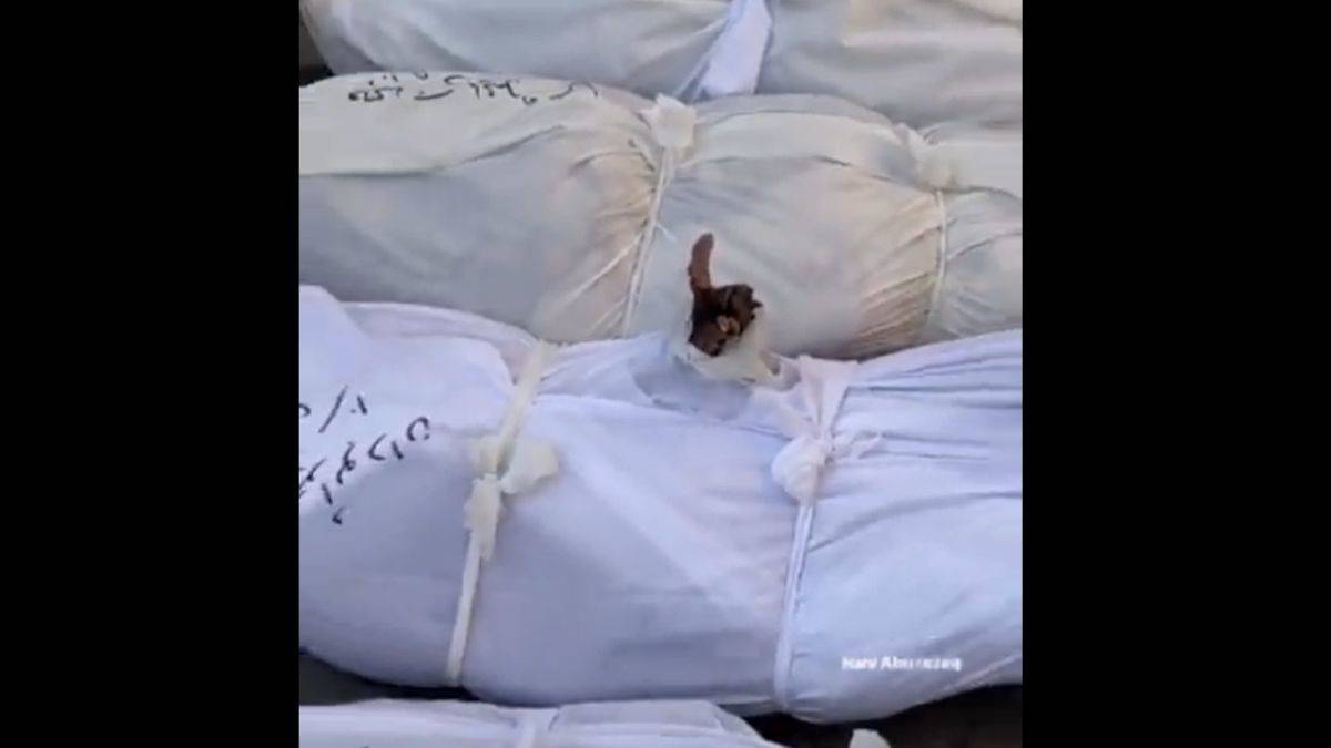 Gazzeli şehidin şehadet parmağı