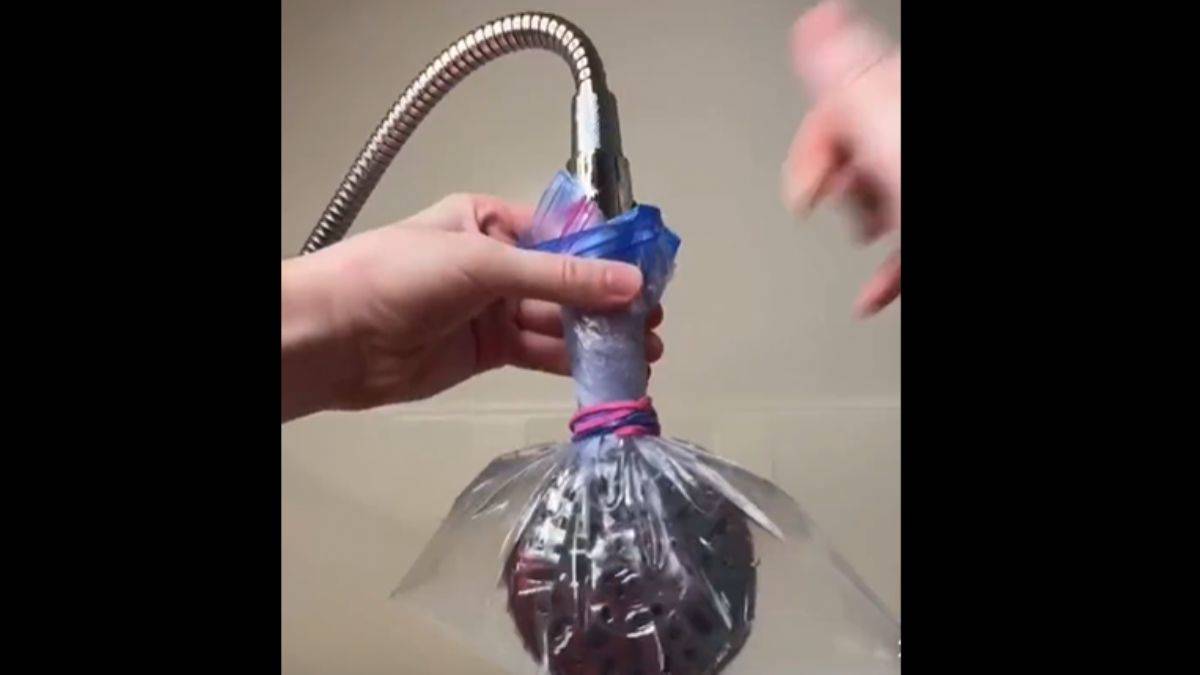 Duş başlığınız ne kadar temiz?