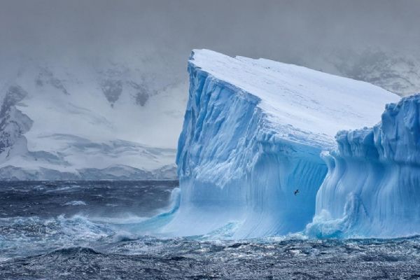 Doğu Antarktika'da keşfedildi! Tam 14 milyon yıllık