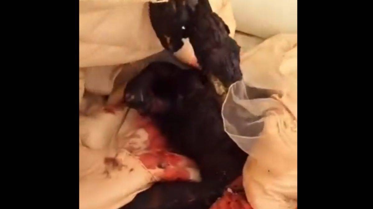 İsrail saldırılarında öldürülen Gazzeli çocuklar (+18)