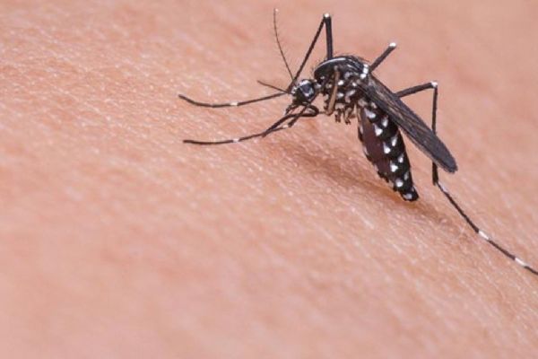 ABD'de dang humması alarmı! 2 kişide görüldü