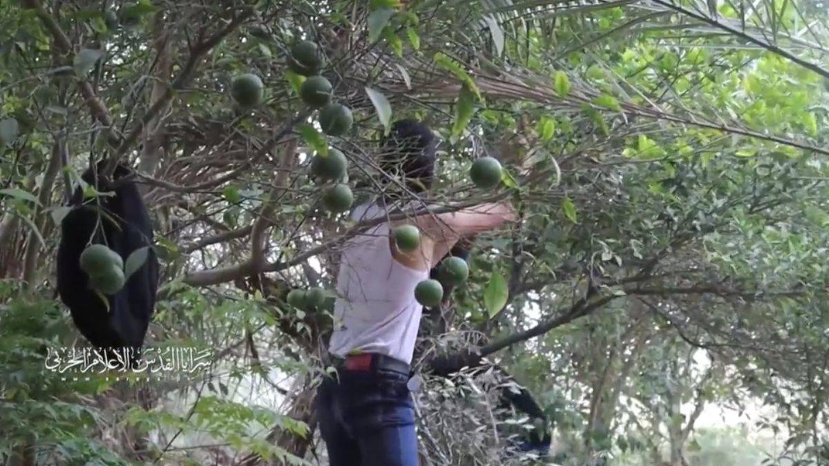 Kassam'dan cephe cephe roket atışları