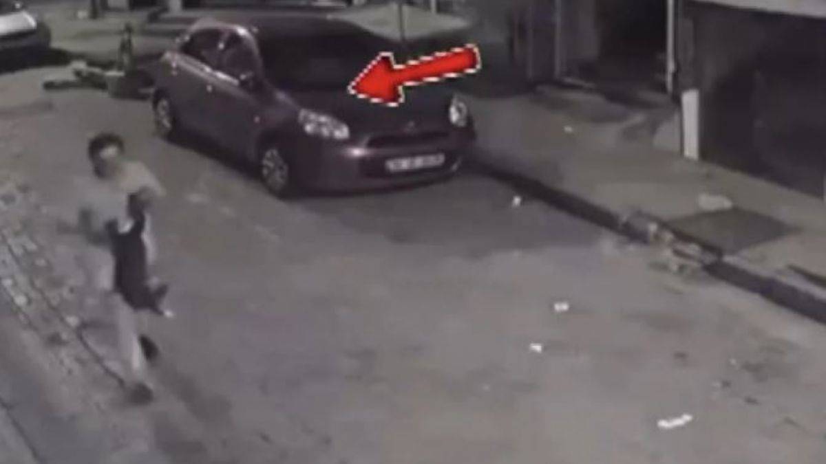 İstanbul'da kaçırdığı kediyi tekmeleyip öldürdü: Tutuklandı