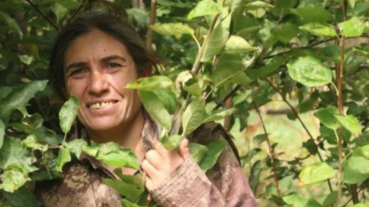 PKK/KCK'nın sözde sorumlularından Ayşe Arslan öldürüldü