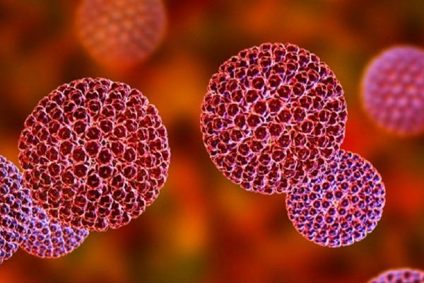 Rotavirüs her gün 330 çocuğun ölümüne neden oluyor