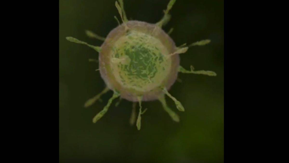 Sakızdaki zararlı maddeler