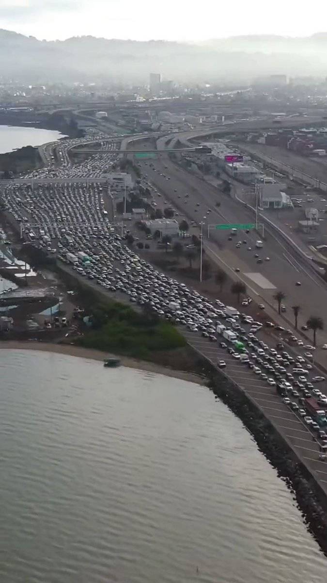 Gazze'de ateşkes talep eden göstericiler, ABD'deki San Francisco Köprüsü'nü trafiğe kapattı