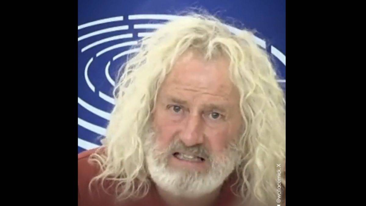 İrlandalı vekil Wallace: İsrail, Hamas'la savaşmıyor