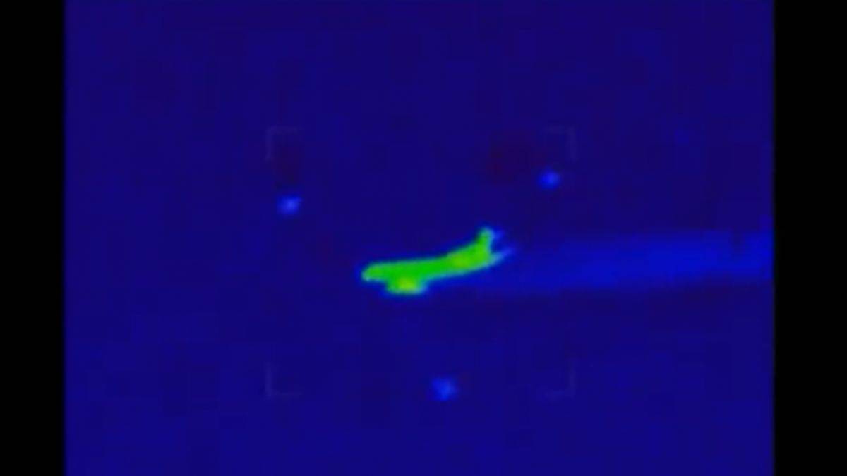 Malezya uçağının yok olmasının ardındaki sır