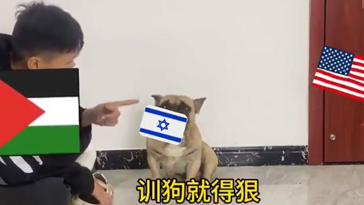 Köpek videosunda ABD-İsrail benzetmesi