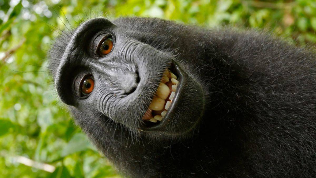 Psikiyatri otoritesi: Selfie çekmek ruhsal bozukluk