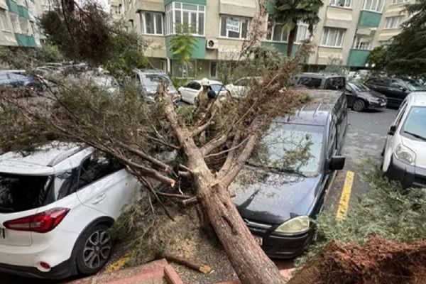 İstanbul'daki fırtınanın bilançosu açıklandı