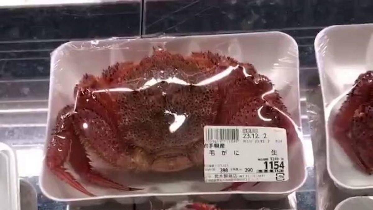 Dehşet görüntü! Yengeçler canlandı