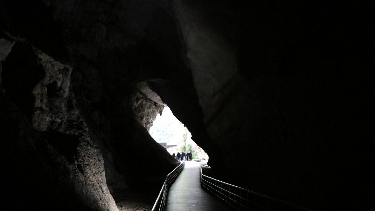 Yeni yangıç türü bulunan Gökgöl Mağarası