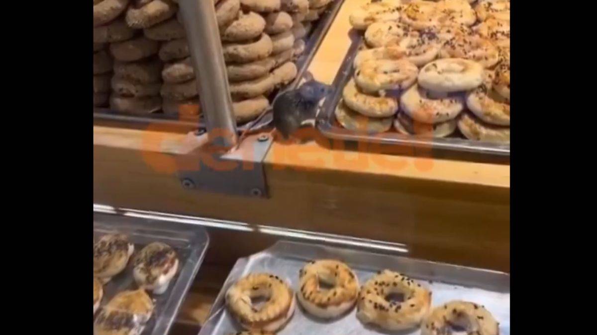 Ünlü zincir marketin ürünlerinin üzerinde fare görüldü
