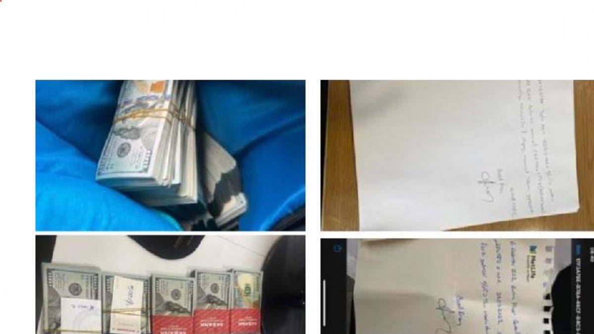 Seçil Erzan'ın telefonu çözüldü; bilirkişi raporu ortaya çıktı