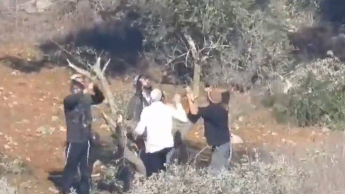 İsrail askeri korumasında Filistinlilerin zeytin ağaçlarını kestiler