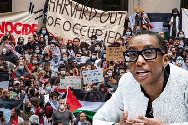 Filistin'i destekledi, istifaya zorlandı: Harvard Rektörüne eski rektörlerden tam destek