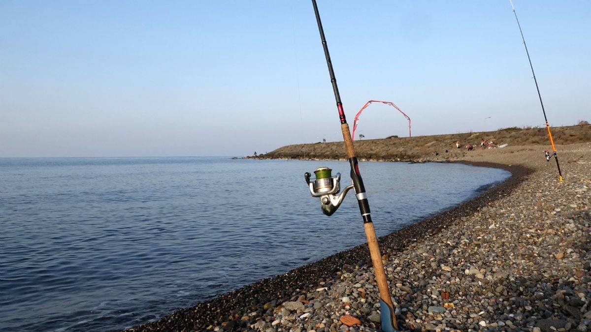 Prof. Kocabaş: Olta balıkçılığı ücretli olsun