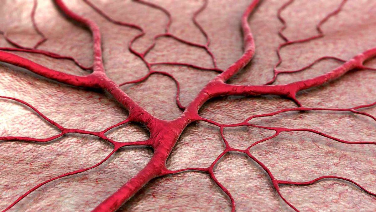 Doktor Polat: 'Hayat kıl ipliğine bağlı'