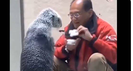 Su samurlarının taşları ve yiyecekleri saklama sanatı