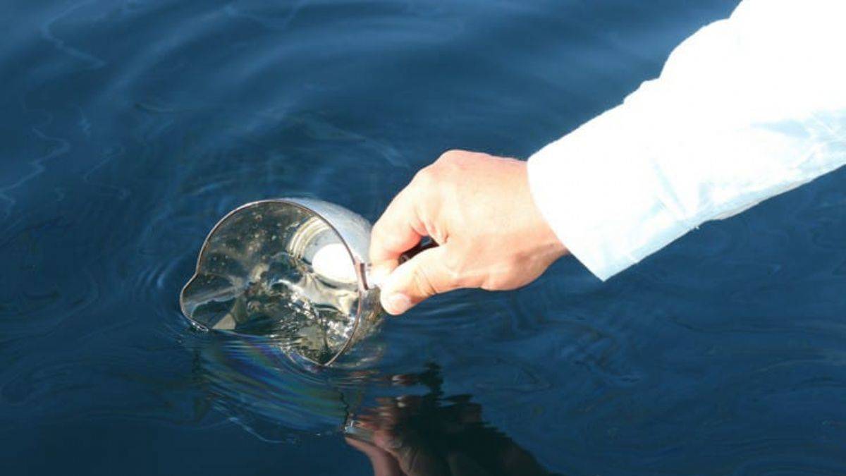 Doğu Karadeniz'de doğalgaz kaynaklı petrol sızıntısı!