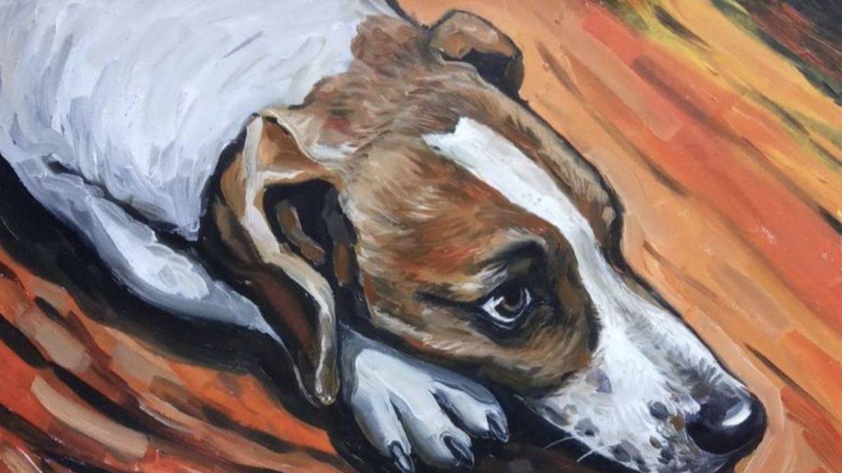 Başıboş köpek meselesine çözüm