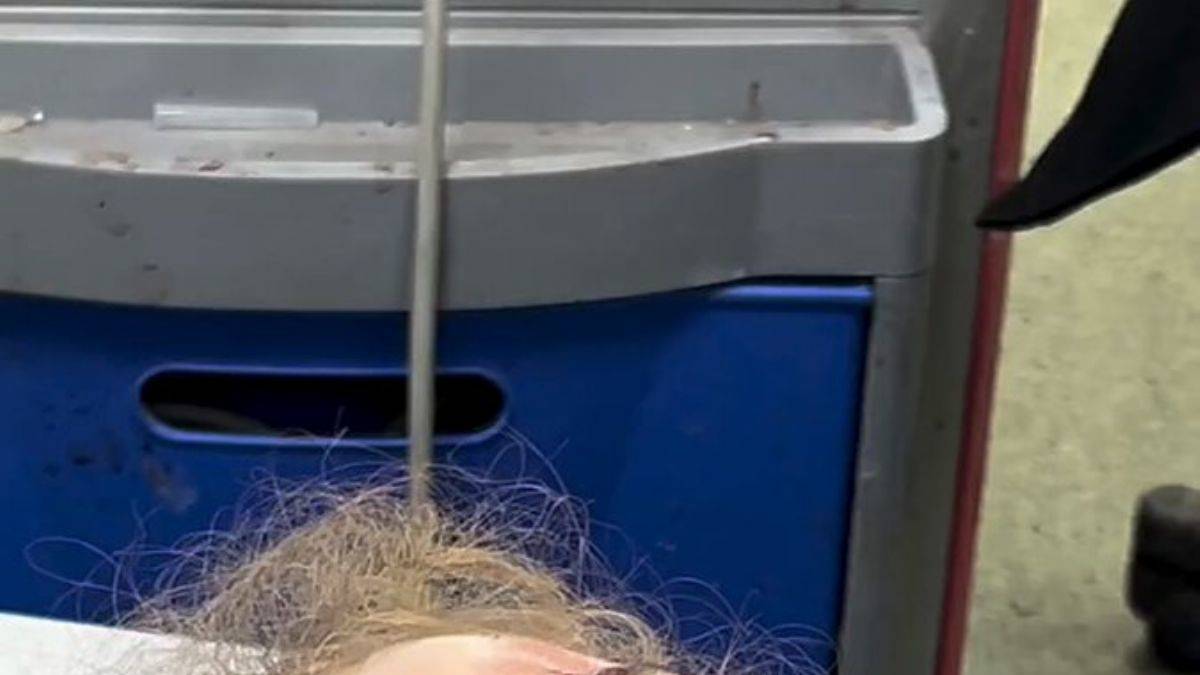 Gazze, bugün: İsrail, 73.günde katliamlarını sürdürüyor