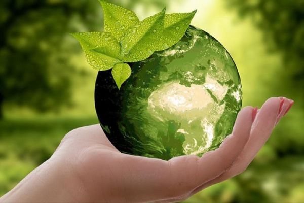 Türkiye'nin Sıfır Atık Projesi 2023'te öne çıktı