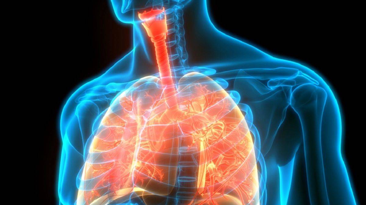 Nefesimiz iklimi tehdit ediyormuş; 'Çüş! Oha! Pes artık'