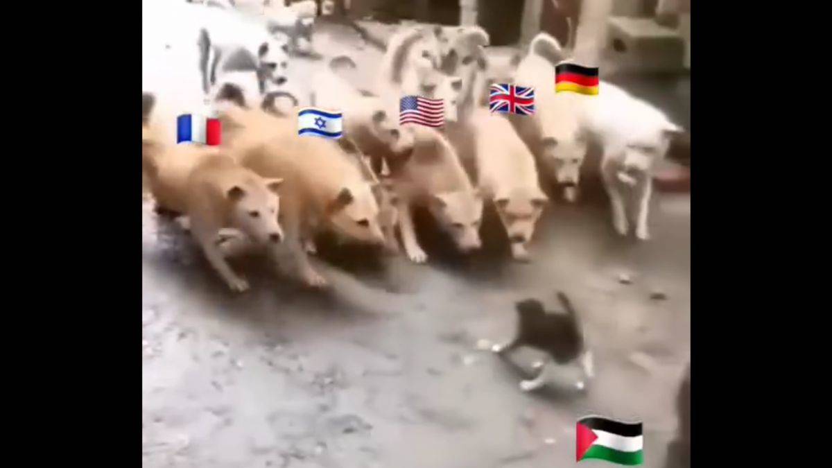 Filistin tek başına Batılı güçlere karşı