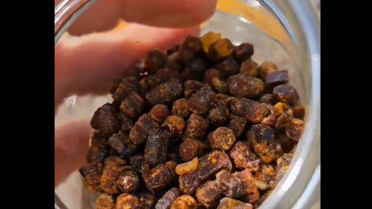 Arı mucizesi: Arı ekmeği ve yaş arı poleni