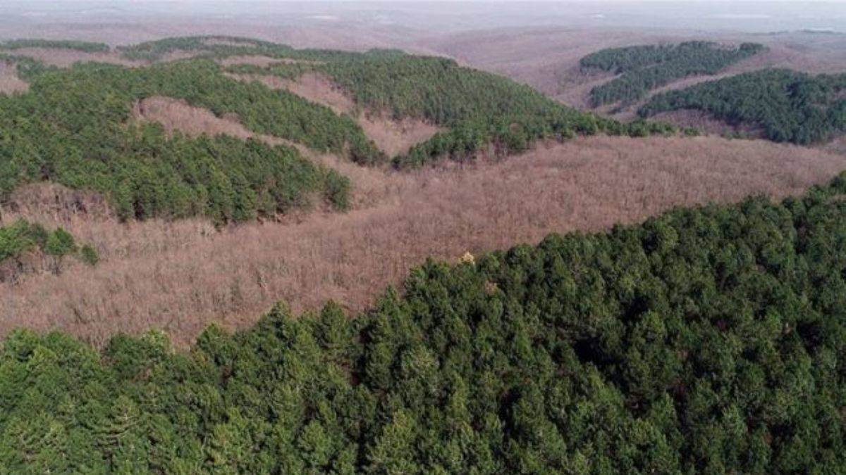 Türkiye dünya standardına çok yaklaştı!