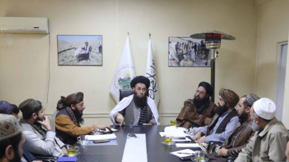 Afganistan'da tarım hamlesi