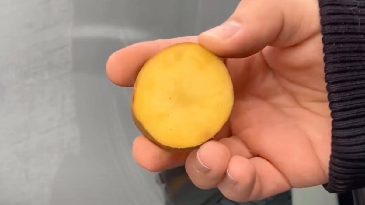 Bir patates ön camınızın donmasını nasıl önleyebilir?