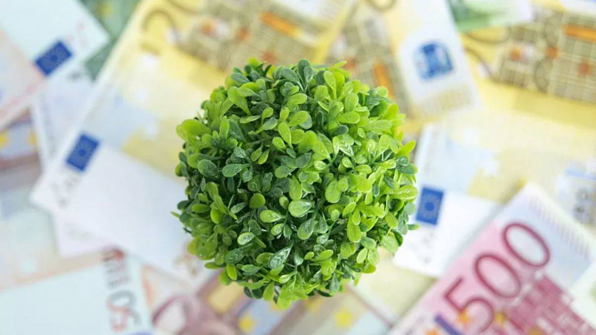 'İklim krizi' analizi: 'Yeşil kapitalizm dolandırıcılıktır'