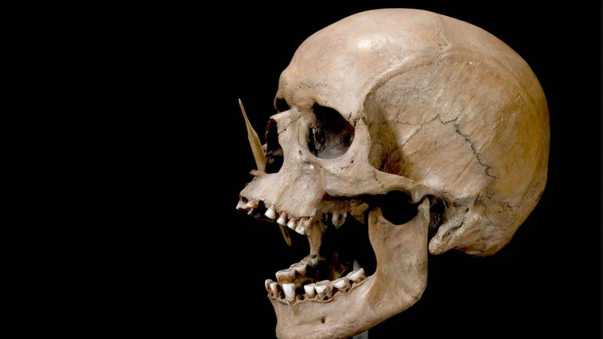 Antik dönem çobanları Kuzey Avrupa'nın tarihini yeniden yazdı