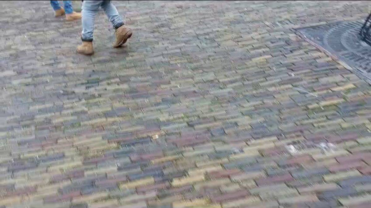 Hollanda'da yine Kur'an yakıldı