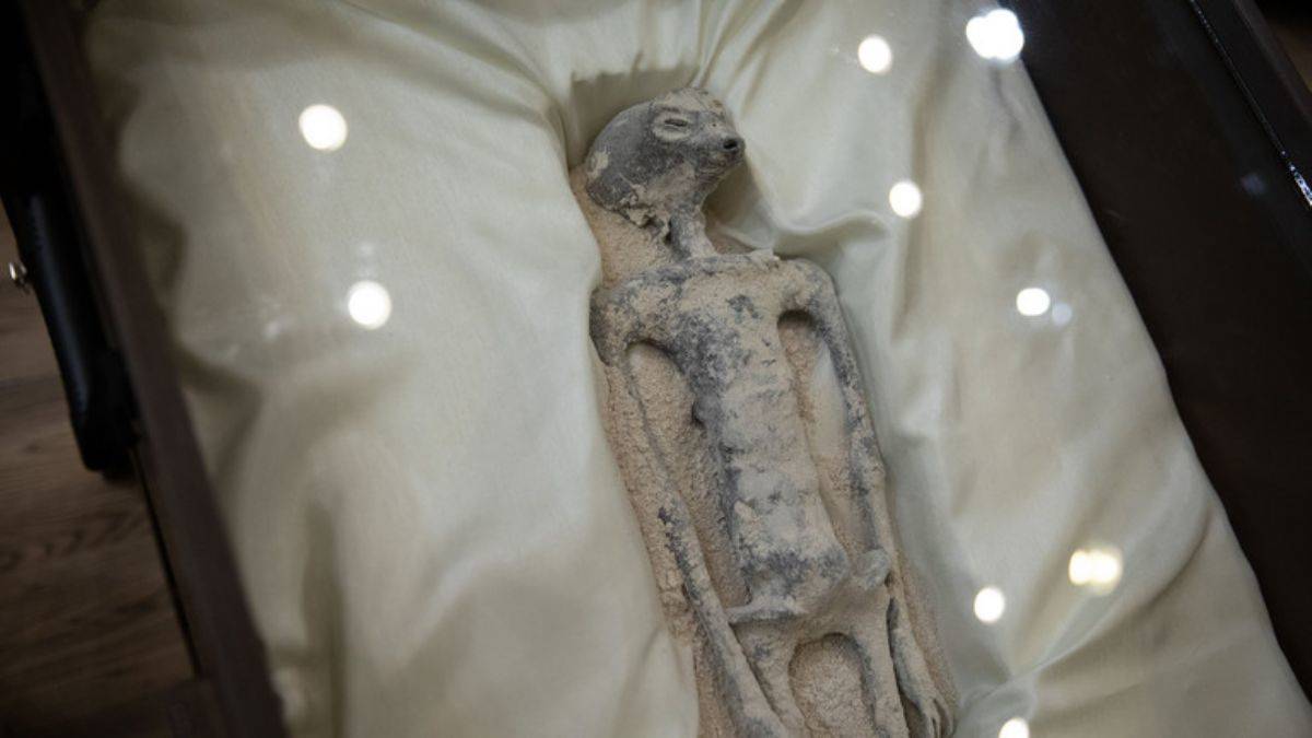 Perulu 'uzaylılar'ın adli tıp analizi ortaya çıktı