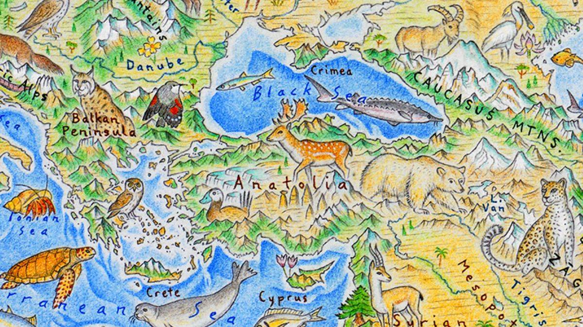 Yeni Zelandalı sanatçıdan 'Dünya vahşi hayvanlar haritası'