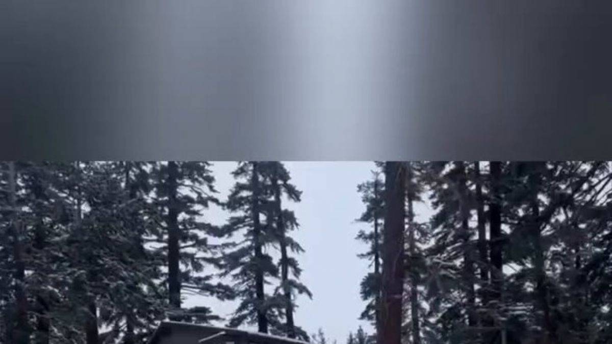 Mammoth Lakes, Kaliforniya'da buzlu yolda kayan araçlar