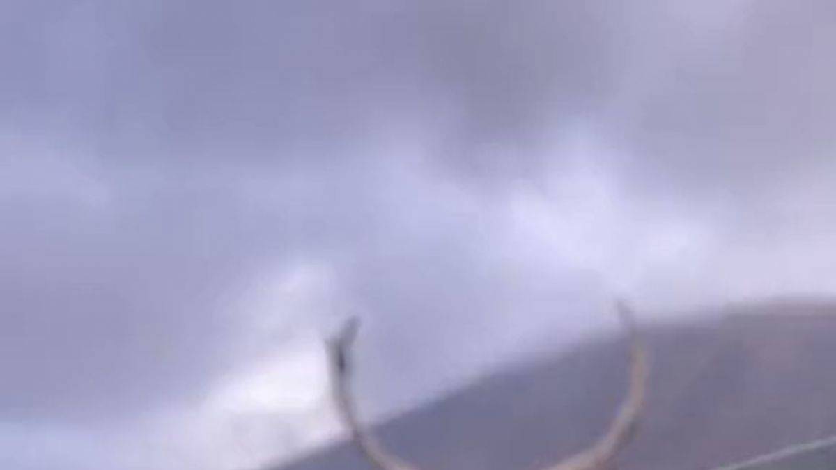 İskoçya’da görüntülenen geyiğin güzelliği