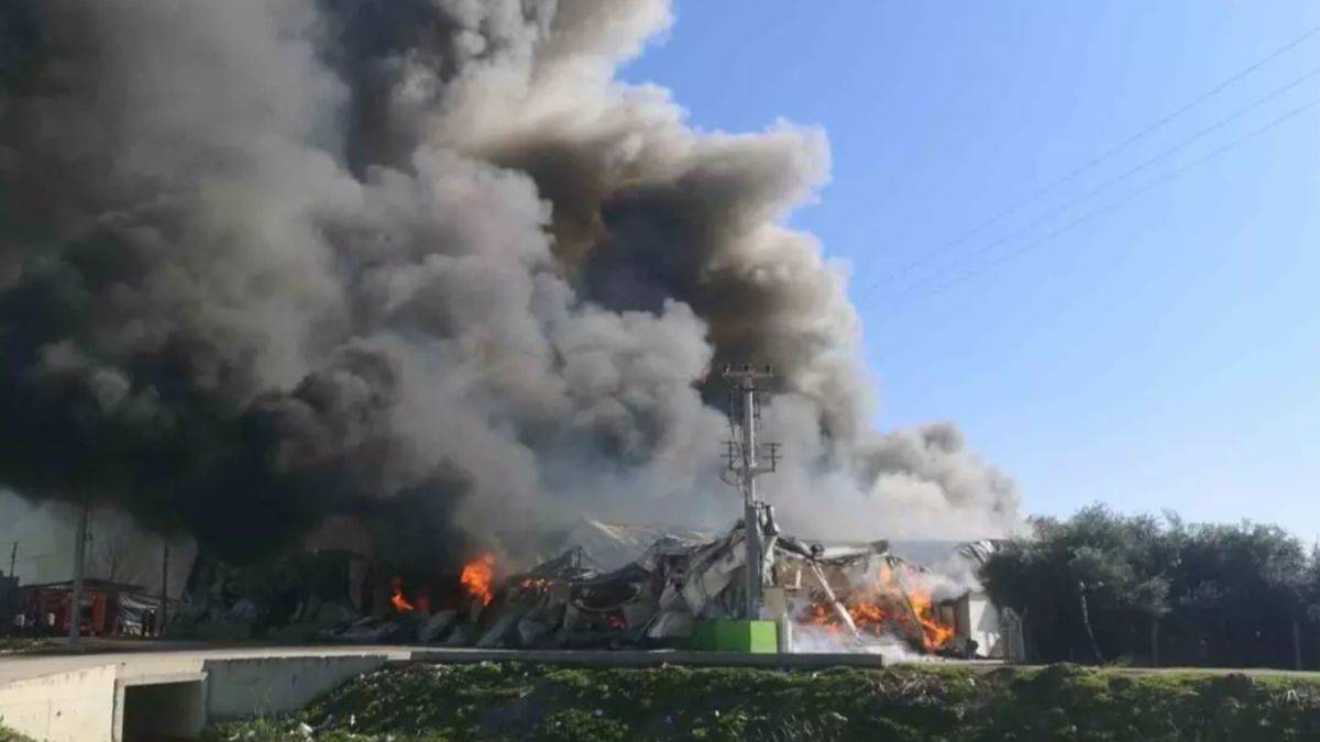 Mersin'de paketleme tesisinde yangın