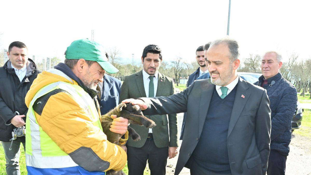 Büyükşehir’le çaresiz değilsiniz