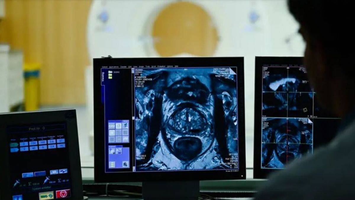 DSÖ'den korkutan rapor! 2050 yılına kadar yüzde 77 oranında...