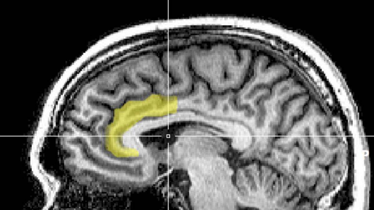 Telefon bağımlılığına kesin çözüm