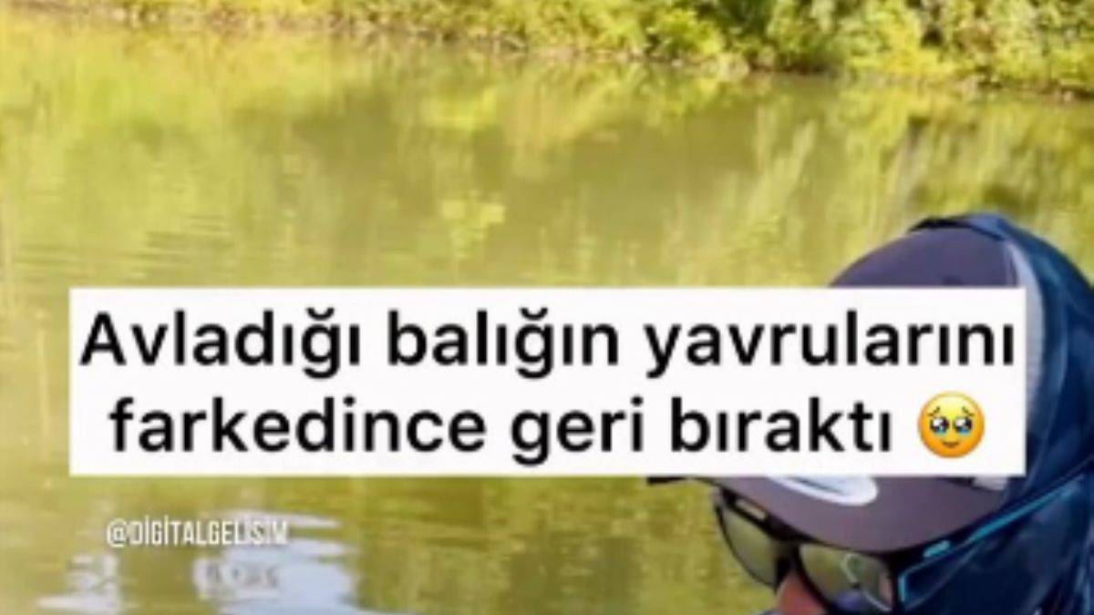 Avladığı balığın yavrularını fark edince geri bıraktı