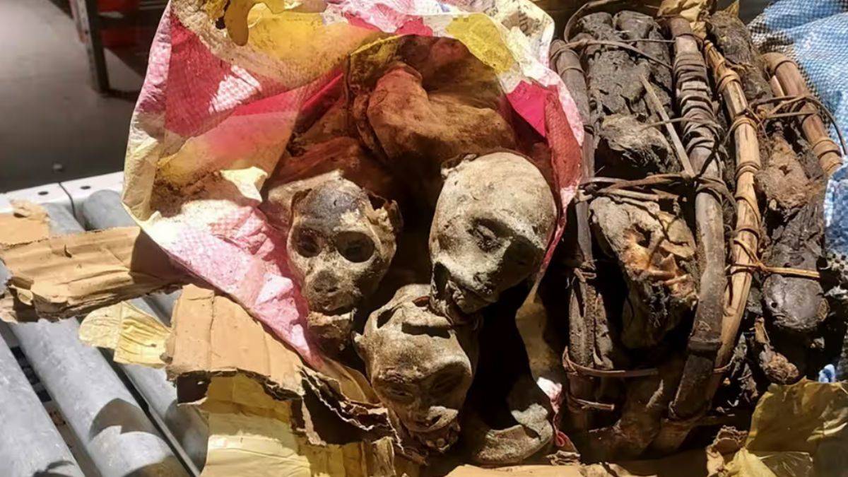 Havalimanında mumya şoku; yemek için almış!